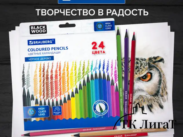 Карандаши цветные BRAUBERG, 24 цвета, шестигранные, грифель 3,3 мм, черное дерево, 181858