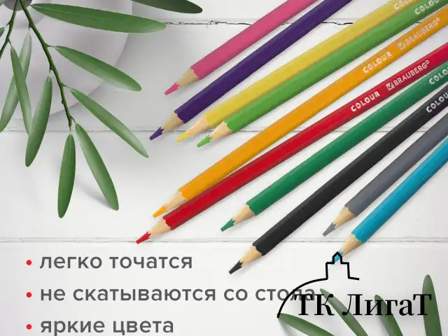 Карандаши цветные мягкие BRAUBERG АКАДЕМИЯ, 18 цветов, шестигранные, грифель 3 мм, натуральное дерево, 181865