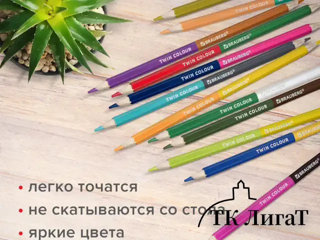 Карандаши цветные двусторонние BRAUBERG PREMIUM TWIN COLOUR, 24 штуки, 48 цветов, шестигранные, грифель 3,3 мм, натуральное дерево, 181875
