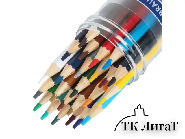Карандаши цветные двусторонние BRAUBERG PREMIUM TWIN COLOUR, 24 шт., 48 цв., туба, шестигранные, грифель 3,3 мм, натуральное дерево, 181876