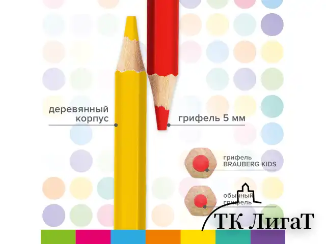 Карандаши цветные утолщенные BRAUBERG KIDS, 24 цвета, шестигранные, грифель 5 мм, натуральное дерево, 181879
