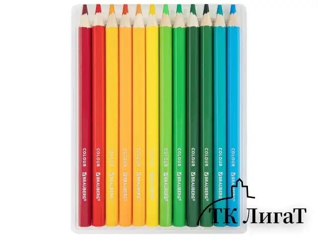Карандаши цветные утолщенные BRAUBERG KIDS, 24 цвета, шестигранные, грифель 5 мм, натуральное дерево, 181879