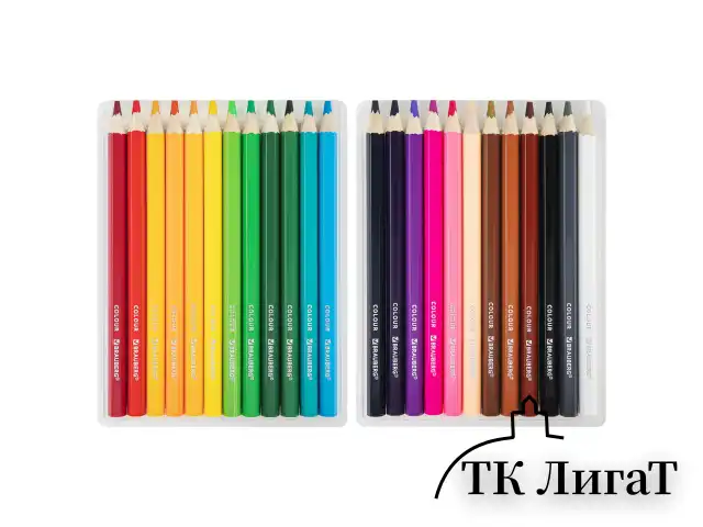 Карандаши цветные утолщенные BRAUBERG KIDS, 24 цвета, шестигранные, грифель 5 мм, натуральное дерево, 181879