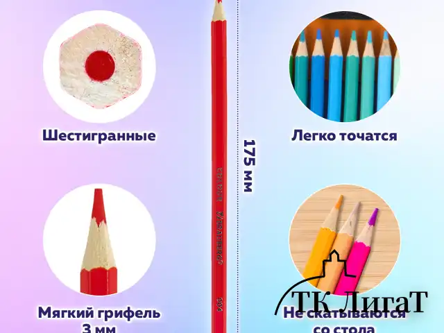 Карандаши цветные супермягкие яркие классические в пенале-скрутке BRAUBERG MAX 50 цветов + держатель и точилка, натуральное дерево, 182007