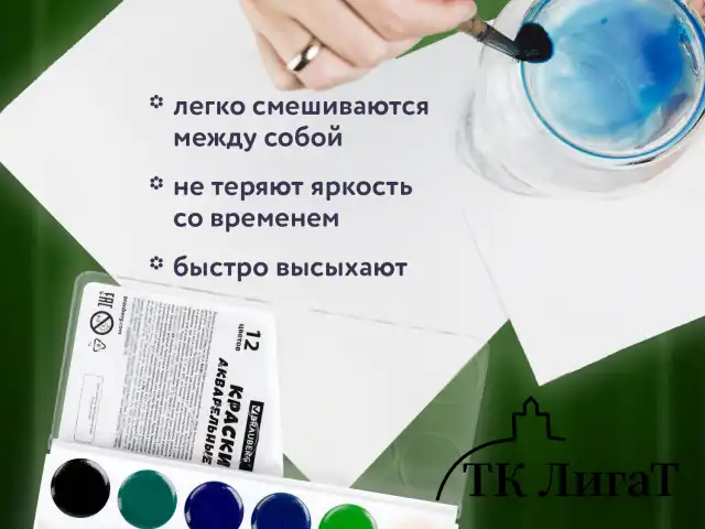 Краски акварельные BRAUBERG 12 цветов "Футбол", медовые, круглые кюветы, 192565