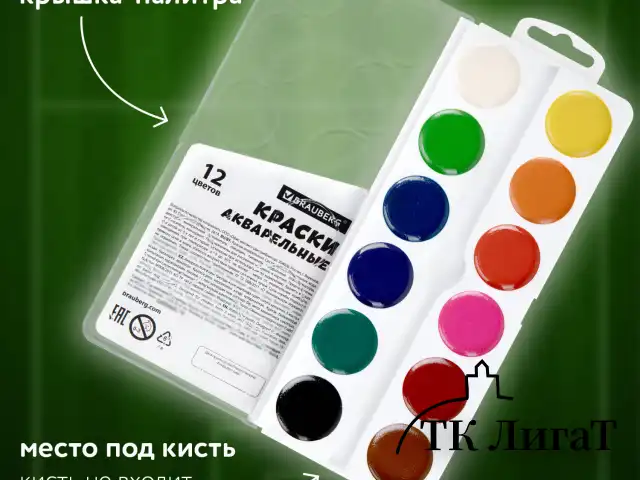 Краски акварельные BRAUBERG 12 цветов "Футбол", медовые, круглые кюветы, 192565