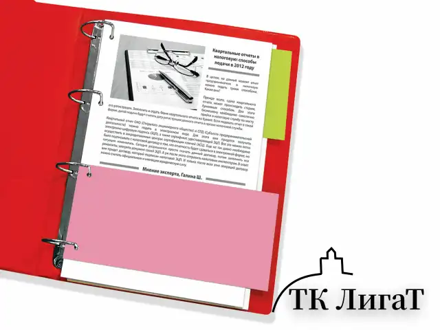 Разделители листов (полосы 240х105 мм) картонные, КОМПЛЕКТ 100 штук, ассорти, BRAUBERG, 225967