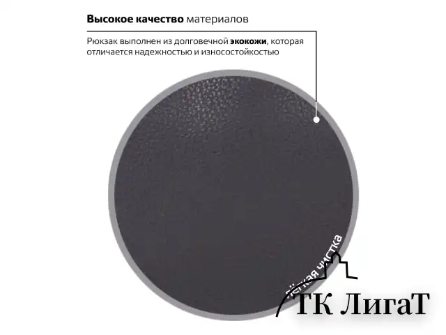 Рюкзак BRAUBERG CELEBRITY универсальный, экокожа, черный, 41х32х14 см, 226423