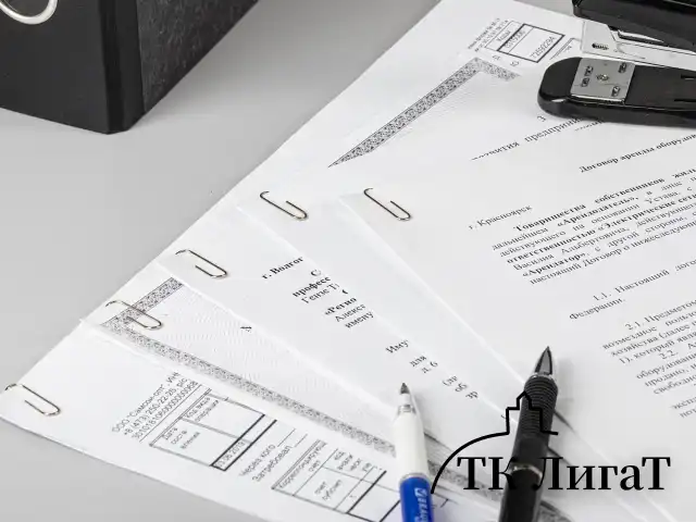 Скрепки STAFF "EVERYDAY", 28 мм, никелированные, 100 шт., в картонной коробке, 226758