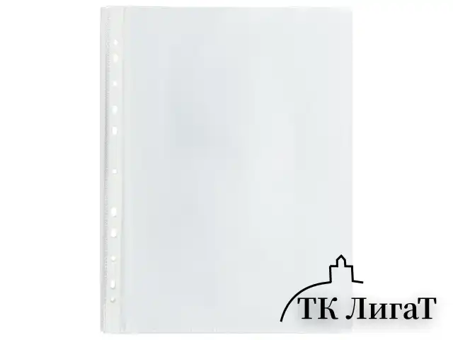 Папки-файлы перфорированные, А4, BRAUBERG "STANDARD", комплект 100 шт., гладкие, 45 мкм, 226831