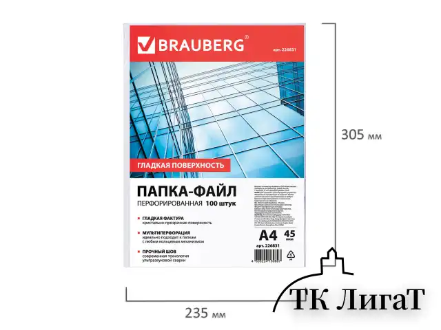 Папки-файлы перфорированные, А4, BRAUBERG "STANDARD", комплект 100 шт., гладкие, 45 мкм, 226831