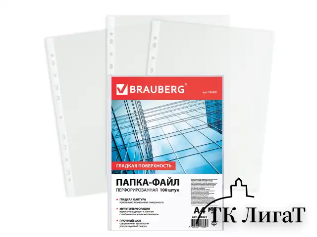 Папки-файлы перфорированные, А4, BRAUBERG "STANDARD", комплект 100 шт., гладкие, 45 мкм, 226831