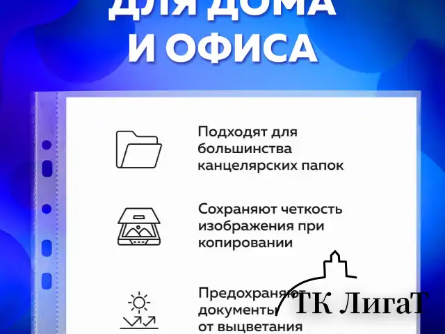Папки-файлы перфорированные, А4, BRAUBERG "STANDARD", комплект 100 шт., гладкие, 45 мкм, 226831