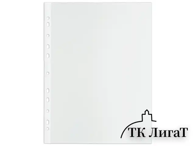 Папки-файлы перфорированные, А4, BRAUBERG "STANDARD", комплект 100 шт., гладкие, 45 мкм, 226831