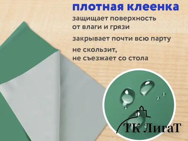Набор для уроков труда ПИФАГОР: клеёнка ПВХ зеленая, 69х40 см, нарукавники синие, 227058