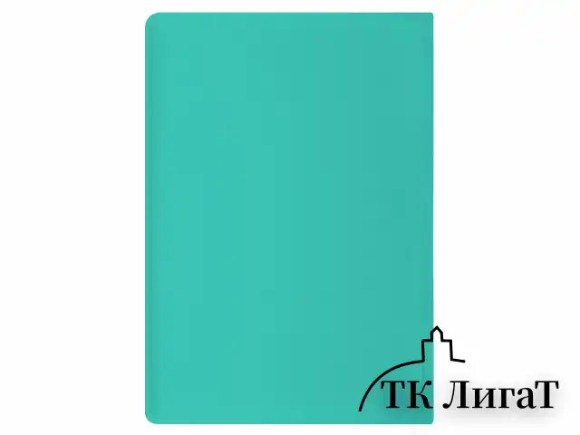 Обложка для паспорта, мягкий полиуретан, "PASSPORT", цвет "тиффани", STAFF, 238404