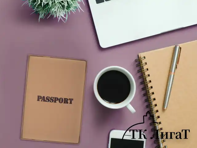 Обложка для паспорта, мягкий полиуретан, "PASSPORT", коричневая, STAFF, 238406