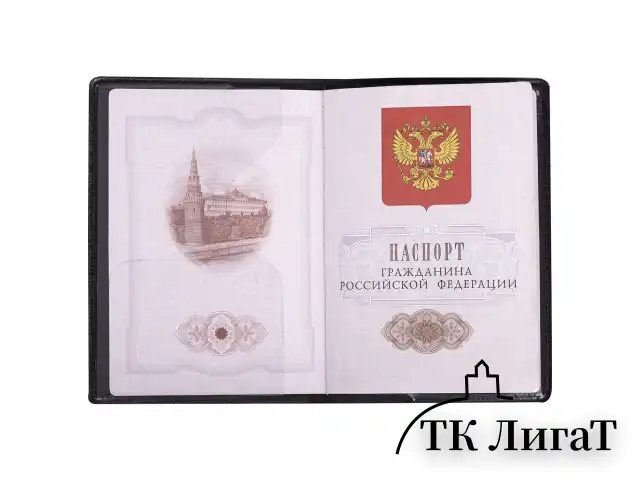 Обложка для паспорта "Passport Map", мягкая экокожа, графитовая, STAFF, 238875