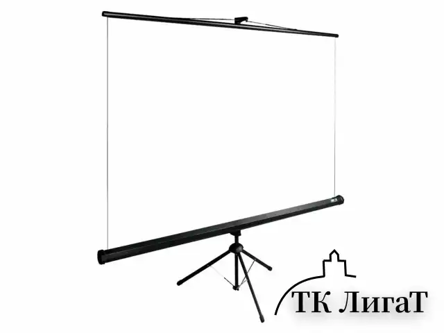 Экран Cactus TriExpert CS-PSTE-160x160-BK, 160x160 см, 1:1, напольный, черный