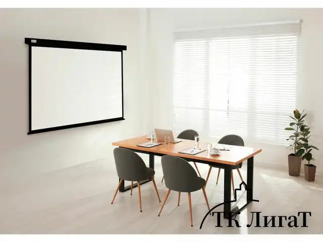 Экран Cactus Wallscreen CS-PSW-180X180-BK, 180x180 см, 1:1, настенно-потолочный, черный, PSW-180x180-BK