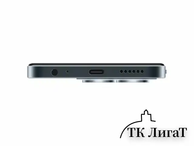 Смартфон TECNO SPARK GO1, 2 SIM, 6,67", 4.5G, 13/8 Мп, 4/64 ГБ, черный, пластик, TCN-KL4.4.64.BK
