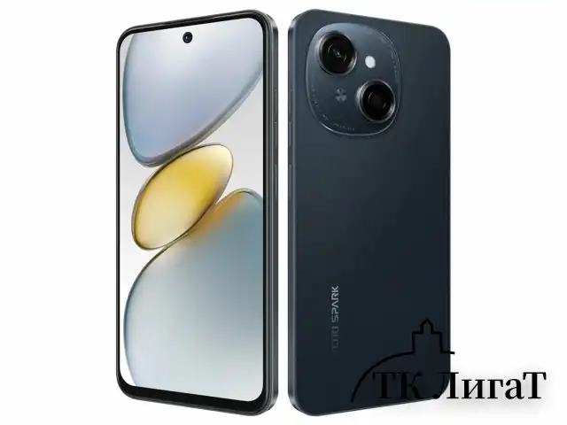 Смартфон TECNO SPARK GO1, 2 SIM, 6,67", 4.5G, 13/8 Мп, 4/128 ГБ, черный, пластик, TCN-KL4.4.128.BK