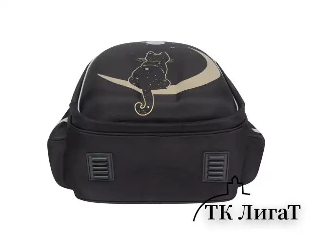 Ранец GRIZZLY анатомическая спинка, c брелоком, для девочек, "NIGHT CAT", 36х28х20 см, RAz-286-1/1