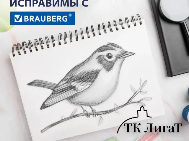 Ластики выдвижные BRAUBERG "Slider Mini", НАБОР 3 ШТУКИ, 68х18х12 мм, пастельные цвета, блистер, 271992