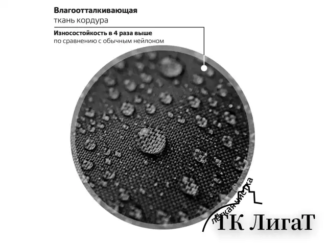 Ранец BRAUBERG PREMIUM, 2 отделения, с брелоком, "Night race", 3D-панель, 38х29х16 см, 272014