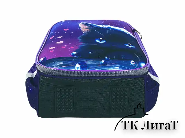 Ранец BRAUBERG PREMIUM, 2 отделения, с брелоком, "Anime cat", 38х29х16 см, 272017