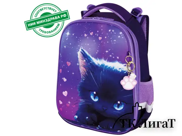 Ранец BRAUBERG PREMIUM, 2 отделения, с брелоком, "Anime cat", 38х29х16 см, 272017