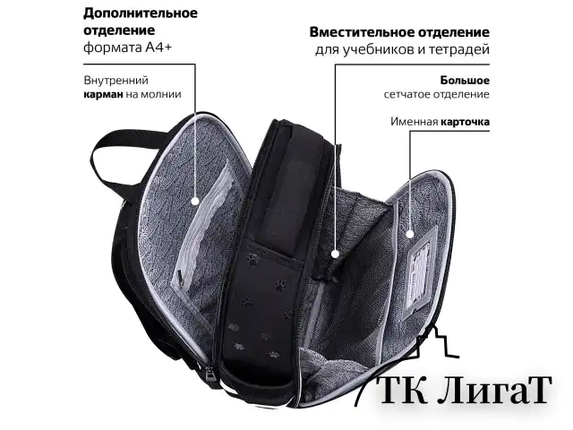 Ранец BRAUBERG FIT, 2 отделения, "Dark cat", 38х27х14 см, 272026