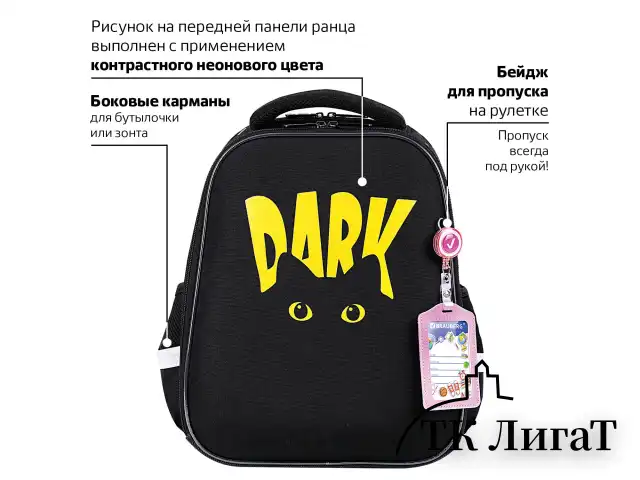 Ранец BRAUBERG FIT, 2 отделения, "Dark cat", 38х27х14 см, 272026