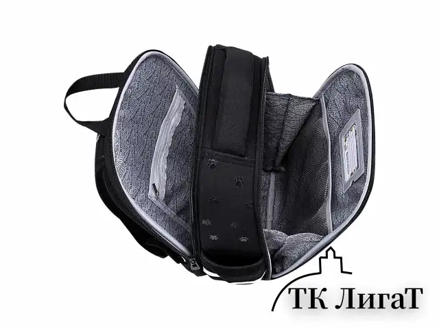 Ранец BRAUBERG FIT, 2 отделения, "Dark cat", 38х27х14 см, 272026