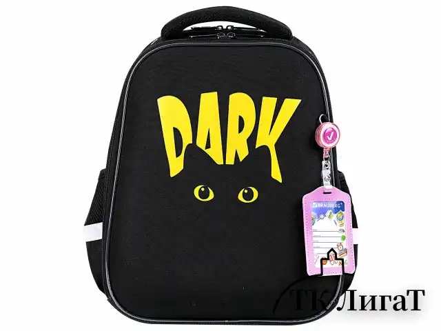 Ранец BRAUBERG FIT, 2 отделения, "Dark cat", 38х27х14 см, 272026