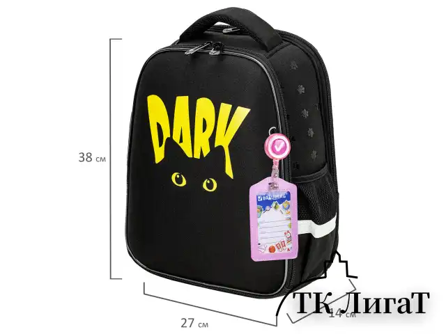 Ранец BRAUBERG FIT, 2 отделения, "Dark cat", 38х27х14 см, 272026