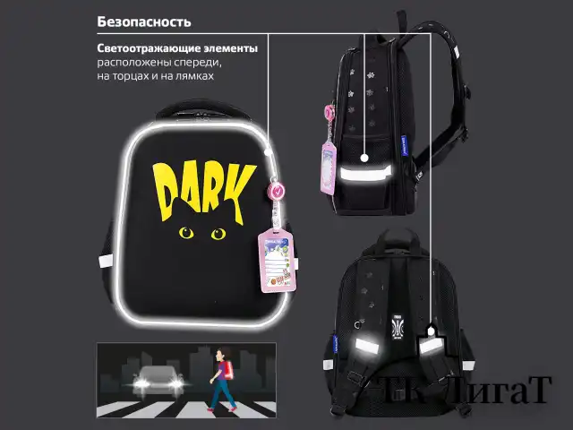 Ранец BRAUBERG FIT, 2 отделения, "Dark cat", 38х27х14 см, 272026