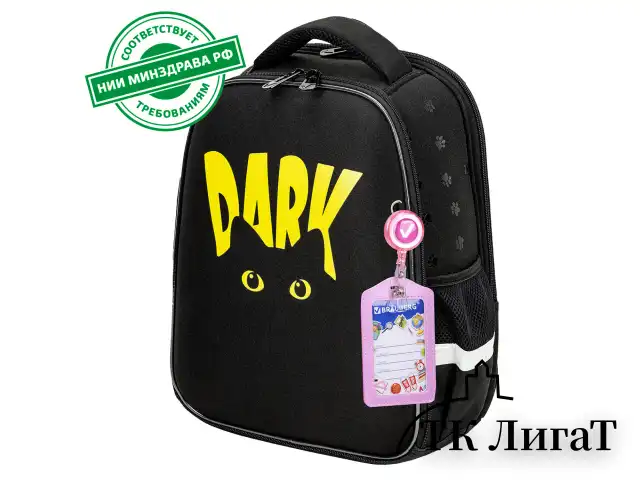 Ранец BRAUBERG FIT, 2 отделения, "Dark cat", 38х27х14 см, 272026
