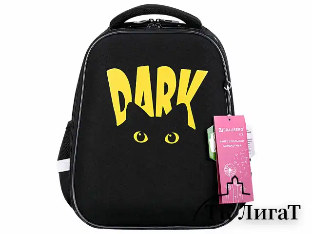 Ранец BRAUBERG FIT, 2 отделения, "Dark cat", 38х27х14 см, 272026