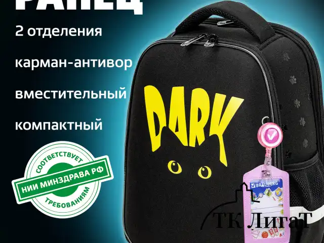 Ранец BRAUBERG FIT, 2 отделения, "Dark cat", 38х27х14 см, 272026