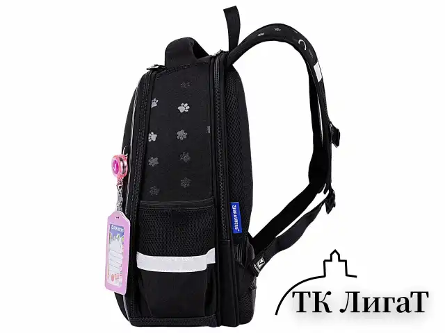 Ранец BRAUBERG FIT, 2 отделения, "Dark cat", 38х27х14 см, 272026