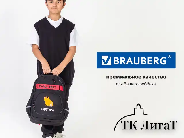 Рюкзак BRAUBERG MOTION, 2 отделения, 3 кармана, "Calm capy", СВЕТЯЩИЙСЯ, 41х28х17 см, 272032