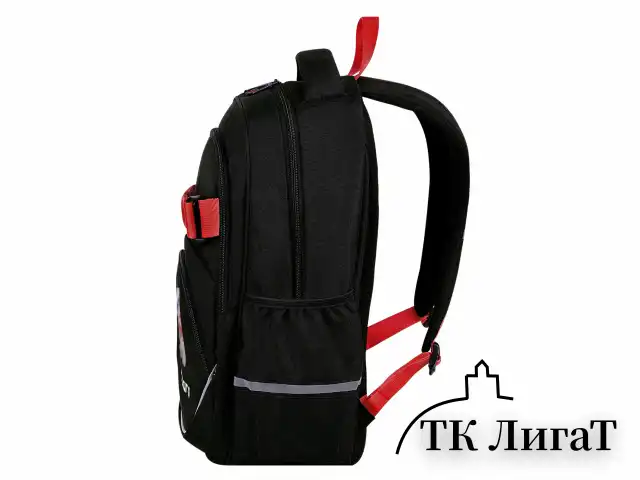 Рюкзак BRAUBERG MOTION, 2 отделения, 3 кармана, "Calm capy", СВЕТЯЩИЙСЯ, 41х28х17 см, 272032