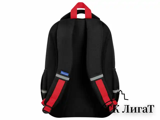 Рюкзак BRAUBERG MOTION, 2 отделения, 3 кармана, "Calm capy", СВЕТЯЩИЙСЯ, 41х28х17 см, 272032