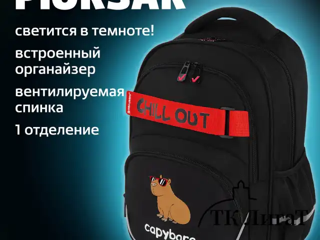 Рюкзак BRAUBERG MOTION, 2 отделения, 3 кармана, "Calm capy", СВЕТЯЩИЙСЯ, 41х28х17 см, 272032