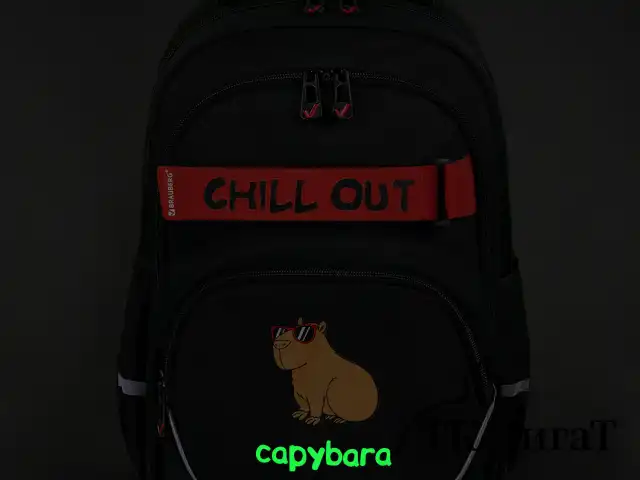 Рюкзак BRAUBERG MOTION, 2 отделения, 3 кармана, "Calm capy", СВЕТЯЩИЙСЯ, 41х28х17 см, 272032
