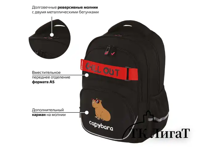 Рюкзак BRAUBERG MOTION, 2 отделения, 3 кармана, "Calm capy", СВЕТЯЩИЙСЯ, 41х28х17 см, 272032