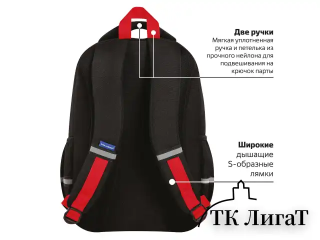 Рюкзак BRAUBERG MOTION, 2 отделения, 3 кармана, "Calm capy", СВЕТЯЩИЙСЯ, 41х28х17 см, 272032
