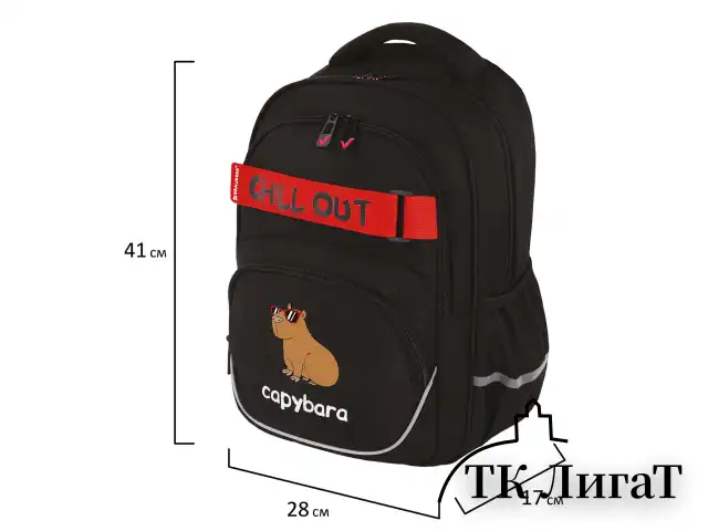 Рюкзак BRAUBERG MOTION, 2 отделения, 3 кармана, "Calm capy", СВЕТЯЩИЙСЯ, 41х28х17 см, 272032