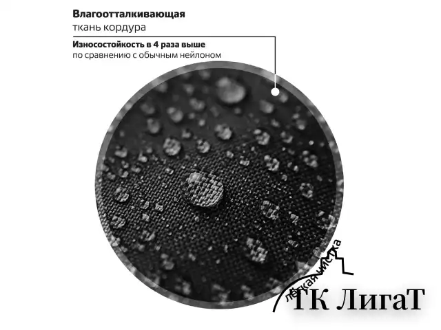 Рюкзак BRAUBERG MOTION, 2 отделения, 3 кармана, "Cat tower", 41х28х17 см, 272033